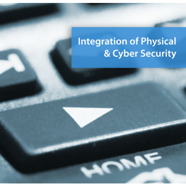 Cyber/Physical Risks to Businesses with Remote/Home Workers in the midst of COVID-19