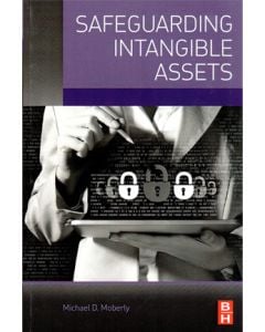 Safeguarding Intangible Assets (Softcover)